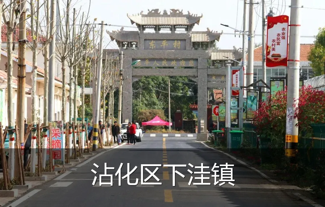 沾化区下洼镇