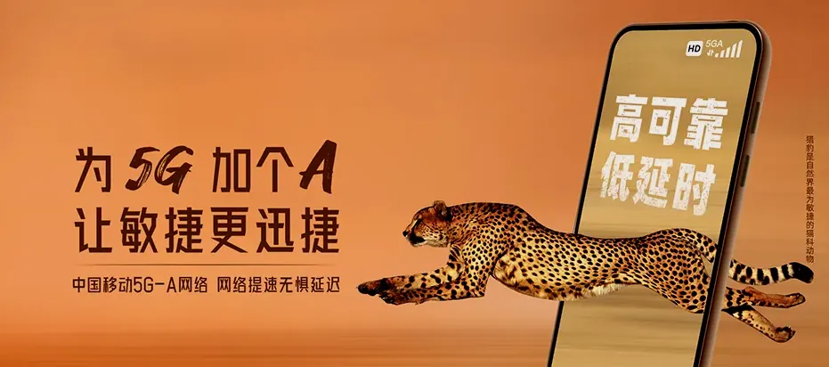 沾化县沾化区大高镇 移动宽带